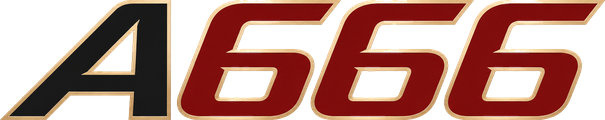 a666